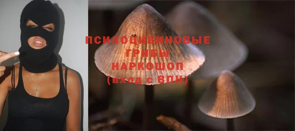 гашиш Покачи