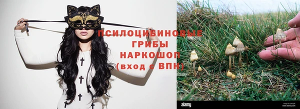 spice Балахна