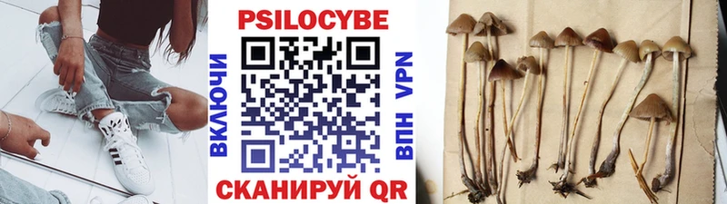 где купить наркотик  Кудрово  Галлюциногенные грибы мухоморы 